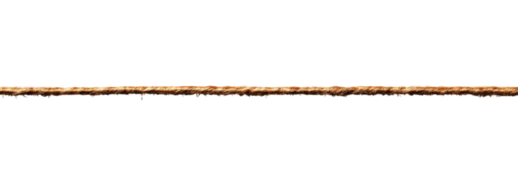 Horizontal band of mottled, reddish-brown pixels on a black background