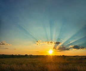 African sunset, sun setting in the african savannah grass bush in the background, near to the horizon
