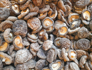 background with dried chinese shiitake mushrooms.