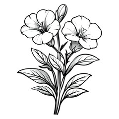 Vector illustration of cut flowers such as roses, lilies, or tulips that can be arranged into bouquets.