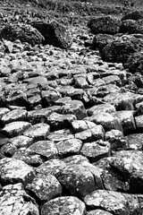 The image is a black and white photo of a rocky area with many large rocks