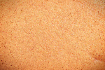 Food background. Gingerbread ginger macro photo.