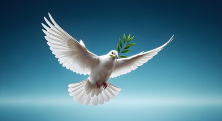 Obraz premium White Dove in Flight with Olive Branch.