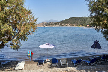 Rocky beach with umbrellas, sunbeds, and trees on the island of Lesbos