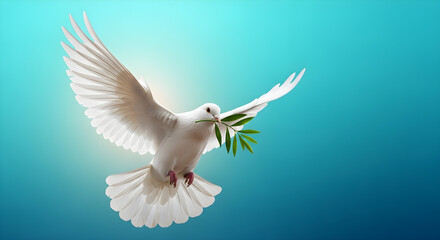 Fototapeta premium White Dove with Olive Branch Symbol of Peace.
