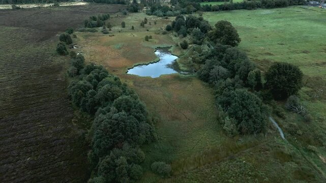 Aerial: A top down drone footage of a pond in the middle of a green park. The Curling Pond in the morning in Black Moss Nature Park, West Lothian, Scotland. High quality 4k footage