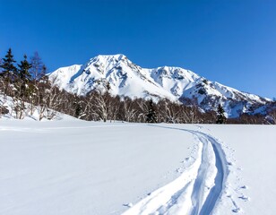 Snowy mountain trail under a clear sky