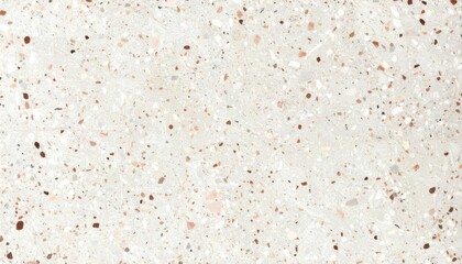 White Terrazzo Texture with Beige and Brown Micro Flecks