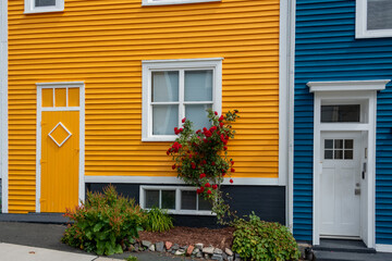 The front of a bright yellow wooden weatherboard covered house joined to a blue clapboard sided residence with a white door. There's a red rose bush in front of the building with a small garden. 