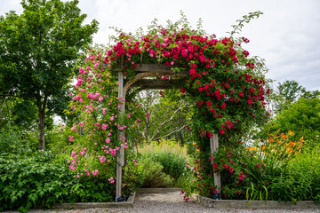 The park features birch trees, climbing red roses, pink lily flowers, and vibrant green shrubs, creating a picturesque botanical setting around a wooden archway or arbor. The flowers are colorful.