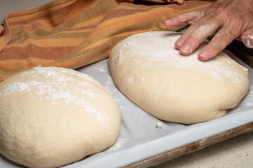 Close up of Woman spreading Flour on a Loaf of Homemade Sourdough Bread before Baking it in the Oven