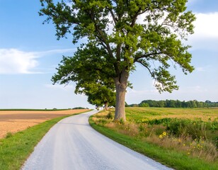 Fototapeta premium Country road through fields under a partly cloudy sky