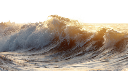 Ocean Waves at Sunset: Beautiful ocean waves crashing at sunset with golden light, isolated on a Transparent background, PNG file.