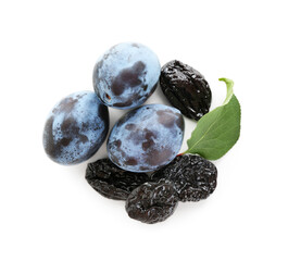 Dried prunes, fresh plums and green leaf isolated on white, top view