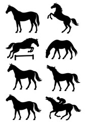 Horse Silhouette Collection in Multiple Poses – 8K Black Vector Set