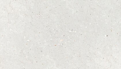 Obraz premium Neutral Terrazzo Texture with Micro Flecks Seamless Background