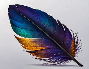 Vibrant feather against a plain background