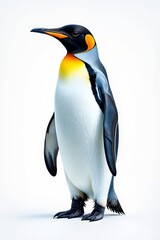 Naklejka premium Majestic Emperor Penguin Standing Tall on White Background