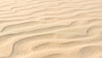Warm Beige Sand Dunes With Wind Ripple Patterns