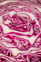 Obraz premium red cabbage cut close up