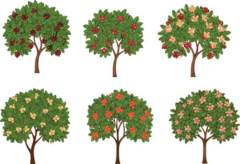 Naklejka premium Six botanical tree illustrations with seasonal flowers and fruits, colorful foliage variations, detailed vector art for botanical, educational, gardening, and nature design projects