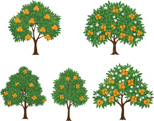 Naklejka premium Illustrated fruit trees with oranges and white flowers, botanical vector design, seasonal agriculture concept, orchard farming illustration, citrus harvest, floral garden artwork