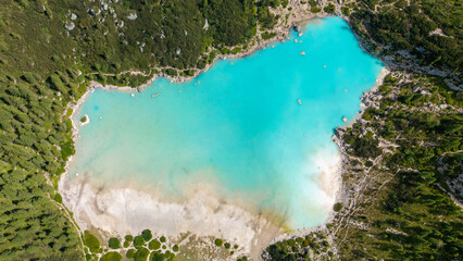 green moss on the rocks