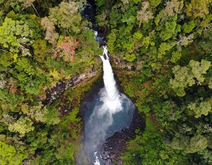 Waterfall cascading into a pool, surrounded by lush green forest