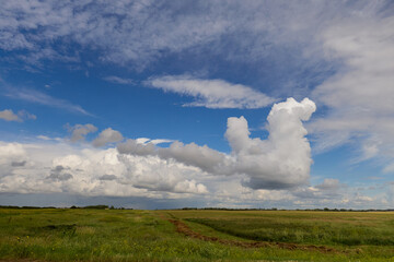 Green field under blue sky with large white clouds