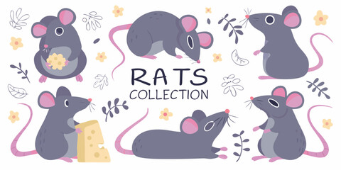 Cute cartoon rats collection with cheese and floral elements on white background