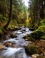 Obraz premium Finding Serenity A Tranquil Stream for Mental Health and Well-being