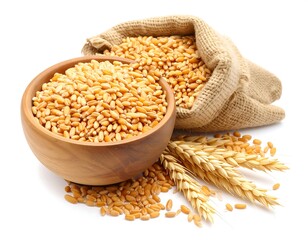 Wheat grains in a bowl and burlap sack