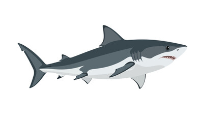 Fototapeta premium Stylized marine predator artwork showcasing a sleek shark with sharp teeth and detailed features rendered against a white isolated backdrop for