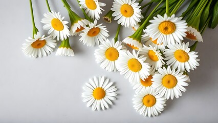 Fresh daisy bouquet arranged neatly on a neutral surface, showcasing natural beauty and simplicity.