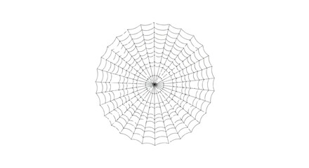 A clean and simplistic representation of a spiderweb against a stark white background creating a sense of minimalism and stark contrast