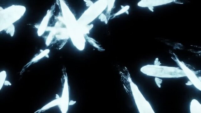 Floating Fish Made of Data Swimming in Circular Loop