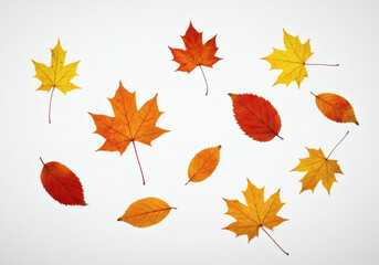 AI-generated realistic images of floating autumn leaves and foliage.
