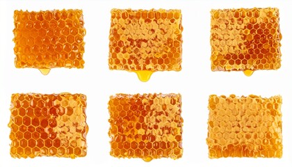 Fototapeta premium Visually stunning fresh honeycomb sections dripping with golden liquid, perfect for food marketing