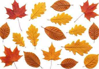 AI-generated realistic images of floating autumn leaves and foliage.