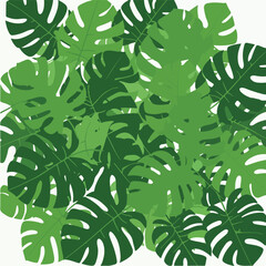 ~temp_image_Green_Monstera_delic_seed271914_1756375096038_2