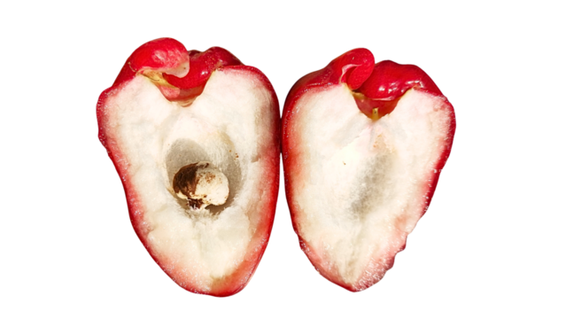 High quality photo of red water apple fruit sliced ​​in half on transparent background, showing fresh and juicy texture, suitable for food design, healthy lifestyle concept and digital composition