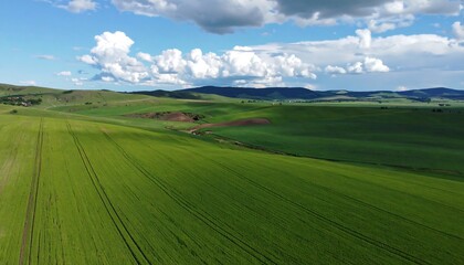 Obraz premium A vast, vibrant green field stretches across rolling hills under a partly cloudy sky, showcasing agricultural landscapes and natural beauty.