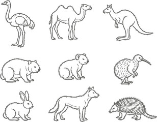 Charming hand-drawn icons of diverse animals including ostrich, camel, kangaroo, wombat, koala, kiwi, rabbit, dingo, and echidna.