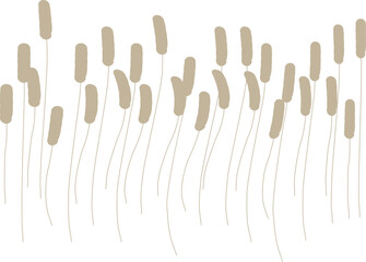 풀 강아지풀 식물 잡초