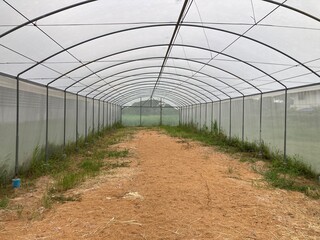 Obraz premium Agriculture is the science, art, and practice of cultivating soil, growing crops, and raising animals for food, fiber, fuel, and other human needs. It has been the foundation of civilization for thous