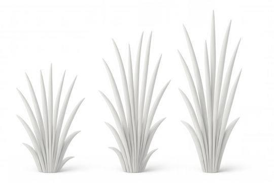 Three varying-sized white grass tufts set against a transparent background, ideal for nature-inspired projects