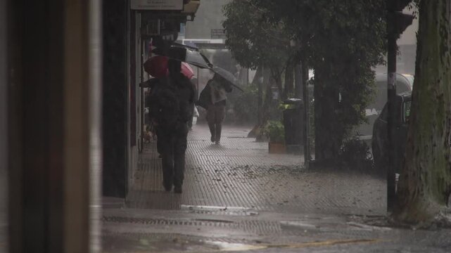 Torrential rain in Buenos Aires, Argentina. Daytime city scene with heavy rainfall, people under umbrellas, cars on wet streets, water puddles splashing, trees, buildings, and urban life. 4K 10-bit fo