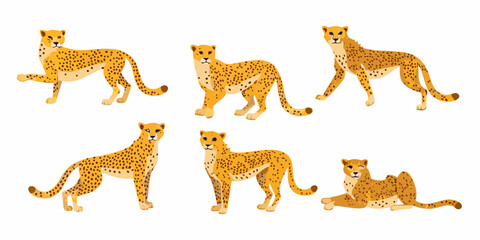 Obraz premium Collection of six stylized cheetahs in various poses on a white background