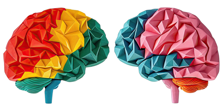 Colorful human brain in origami paper cut concept. Colorful abstract representation of human brain and thinking.