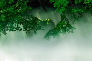 沢に落ちる光芒